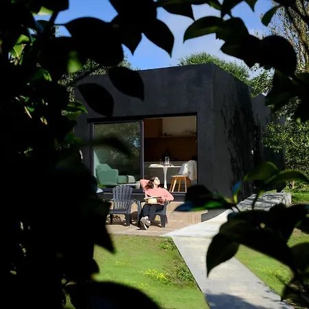 Guest house - The Black *